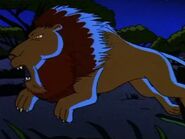 Wild Thornberrys Lion