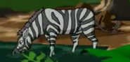 WNSB Zebra