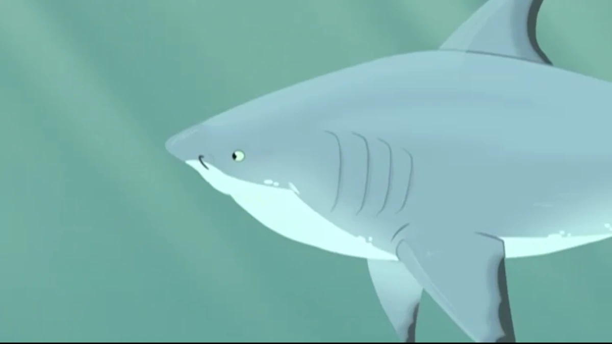 Bull Shark | Animals Wiki | Fandom