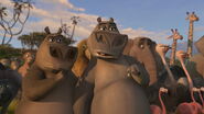 Madagascar2-disneyscreencaps.com-2436