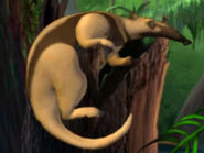 Jumpstart Tamandua