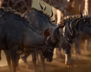 TLK 2019 Kudu