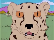 Simpsons Cheetah