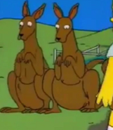 Simpsons Kangaroos