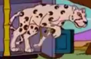 Simpsons Leopard