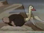 Ostrich-the-wild-thornberrys