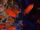 Panamic Soldierfish