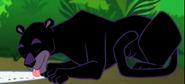 MAD Black Leopard