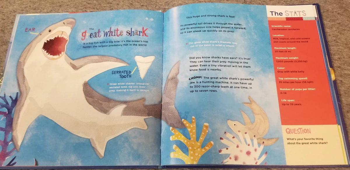 List of Species in Exploring Sharks | Animals Wiki | Fandom