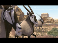 Gemsbok-khumba