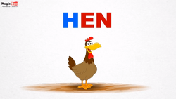 Domestic Chicken | Animals Wiki | Fandom