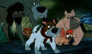 Oliver & Company (1988)