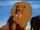 Saber-Toothed Lion