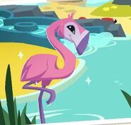 Greater-flamingo-animal-jam