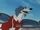 BORZOI