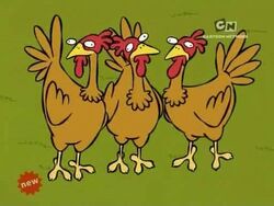 Domestic Chicken | Animals Wiki | Fandom Domestic Chicken | Animals Wiki | Fandom