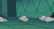 HnK Mice