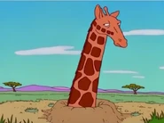The Simpsons (1989 - current)