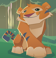 Tiger-animal-jam