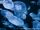 Moon Jellyfish