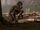 Australopithecus