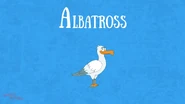 Bonny Wondy Albatross.png (732 KB)
