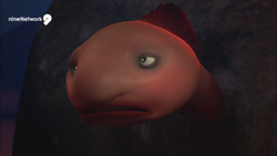 Blobfish, Animal Crossing Fan Wiki