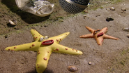 Creature Comforts Starfish