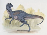 Burrunjor