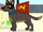 Australian Cattle Dog