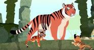 Wild Kratts (2011 - current)