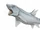 Helicoprion