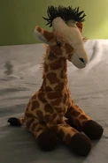 Ginger the Giraffe