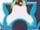 Erect-Crested Penguin