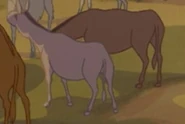 Fantasia 2000 (1999)