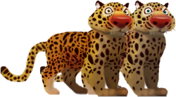 Jaguar | Animals Wiki | Fandom Jaguar | Animals Wiki | Fandom