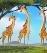 The Lion Guard (2016 - 2019)