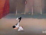 Hunter Hound (1947)