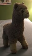 Alan the Alpaca