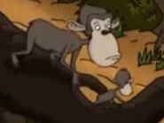 Chimpanzee-the-wild-thornberrys