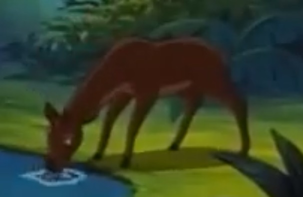 List of Species seen in The Jungle Book Franchise | Animals Wiki | Fandom List of Species seen in The Jungle Book Franchise | Animals Wiki | Fandom
