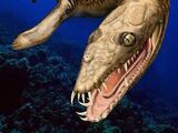 Ceresiosaurus