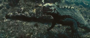 Oceans (2009)