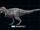 Nanuqsaurus