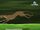 Greyhound