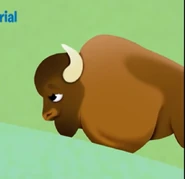 Veggietales Bison Male.png (617 KB) Veggietales: Noah's Ark (2015)