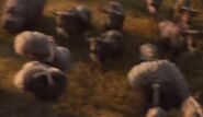 The Lion King (2019)
