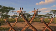 Madagascar: Escape 2 Africa (2008)