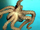 Algae Octopus