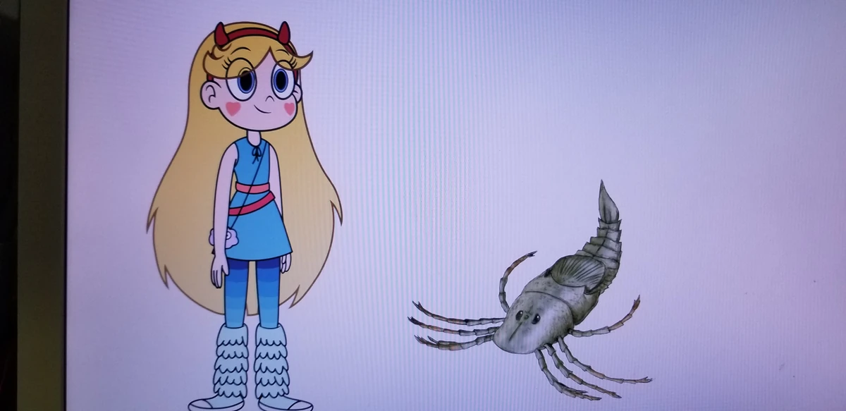 Megarachne Animals Wiki Fandom